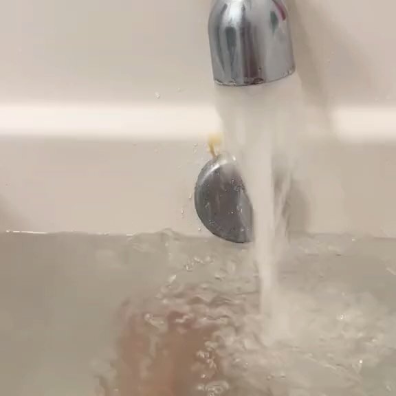 Thumbnail of p-cy3xn2eqgb1-1c7fcf4c05e04cc5 1