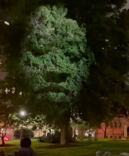 Thumbnail of p-chx5tiiv6dq-1cb143595fdd473d 6