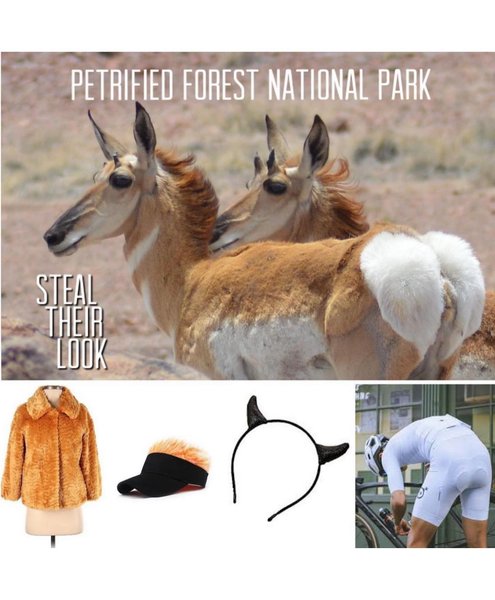 Thumbnail of p-chx5tiiv6dq-1cb143595fdd473d 7