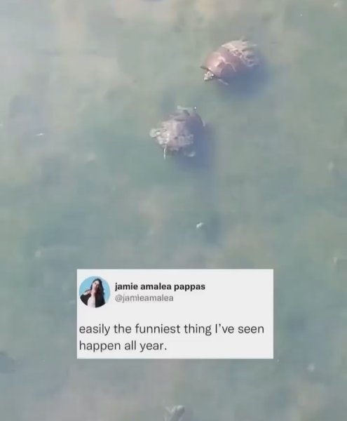 Thumbnail of p-chx5tiiv6dq-1cb143595fdd473d 8