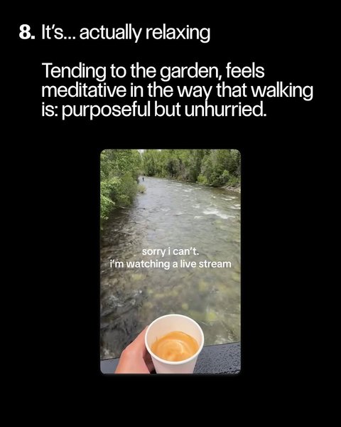 Thumbnail of www-instagram-com-p-dpew65uexux 8