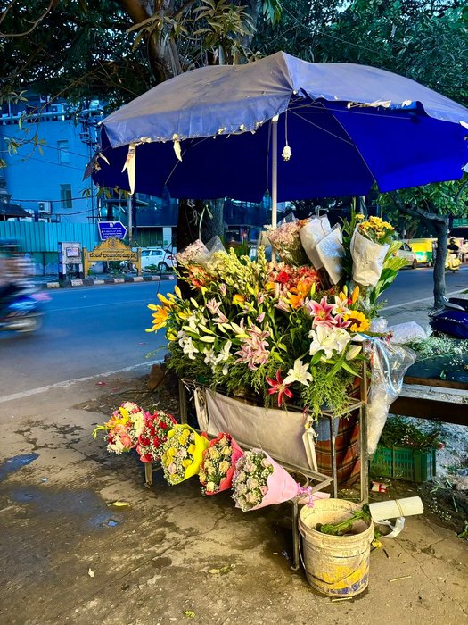 Thumbnail of www-x-com-alysha-lobo-status-1854866342672765266-1d31a2495a294741