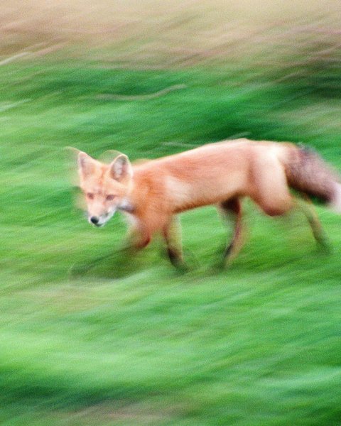 Thumbnail of p-ckkss7mbpr0-1d4fb4682f484d5e 0