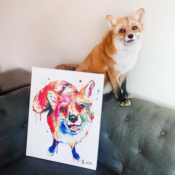 Thumbnail of p-be3hmaehxwa-1d5a848b43674092 0