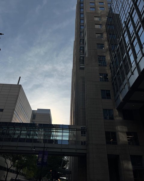 Thumbnail of dmxso-0odgq-1d6541d8fd2a4ea8 0