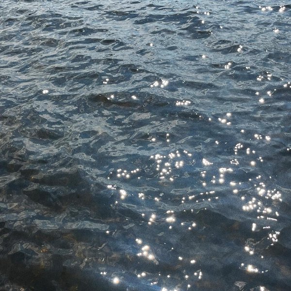 Thumbnail of bdrtfp-vc-1d6a03702a7d4a9f 0