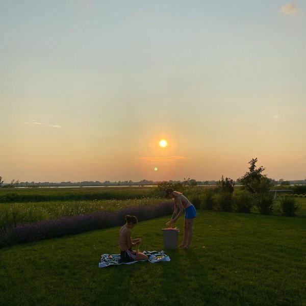 Thumbnail of bdrtfp-vc-1d6a03702a7d4a9f 2