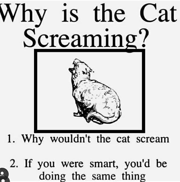 Thumbnail of p-b7yq09nfpwc-1d8c249bac9041fa 3