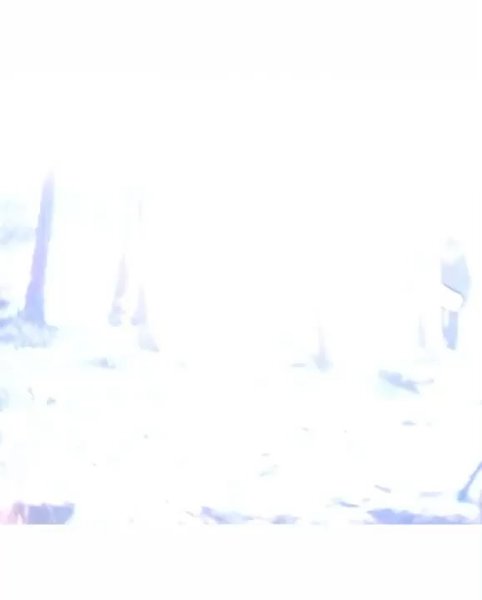Thumbnail of p-dc2vrgazv2w-1d8fceca37c8487b 10