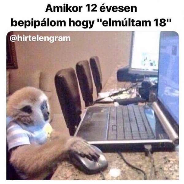 Thumbnail of p-bkmu2hagtoo-1d9086cc2ebe488e 0