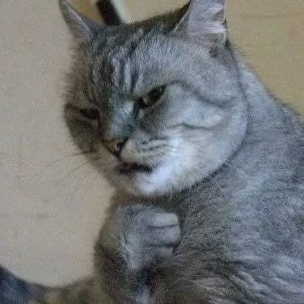 Thumbnail of p-cwlorjaocem-1dac2a78d52e416d 2