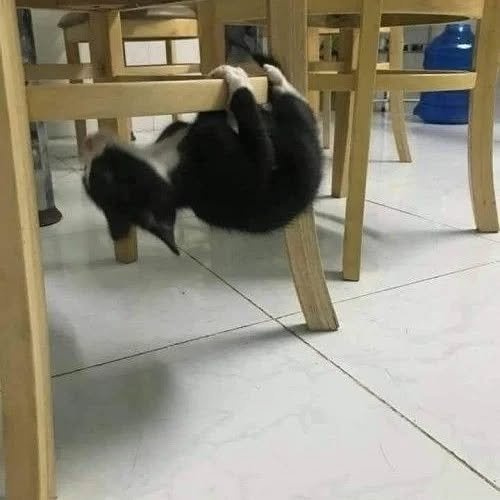 Thumbnail of p-cwlorjaocem-1dac2a78d52e416d 4