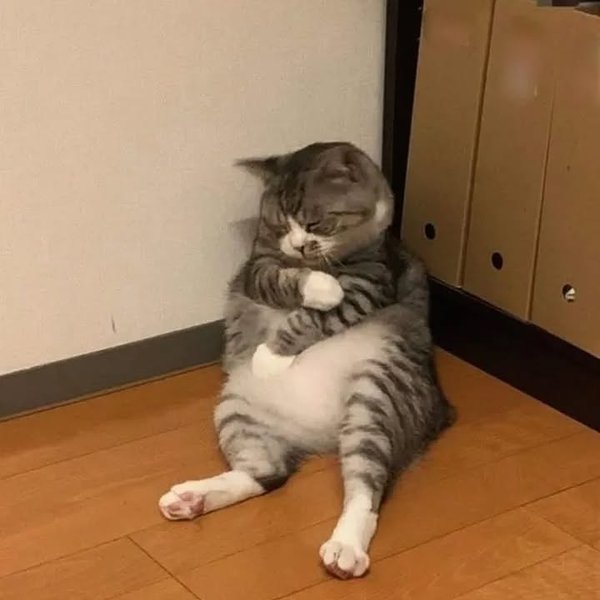 Thumbnail of p-cwlorjaocem-1dac2a78d52e416d 5