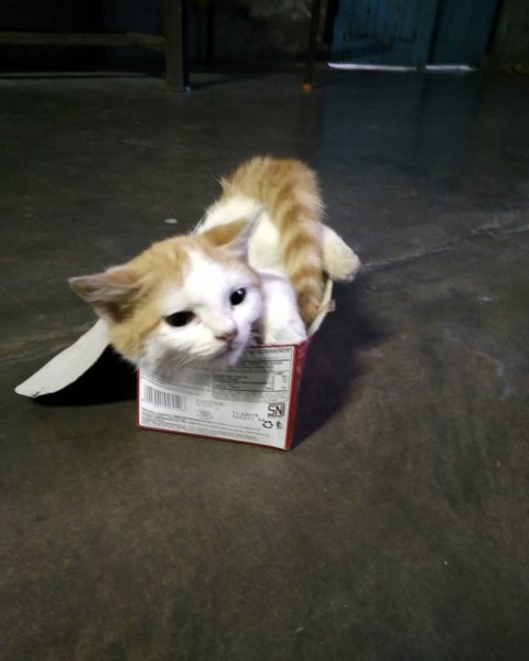 Thumbnail of p-bokeugva7g-1daf3c032f834bd7 0