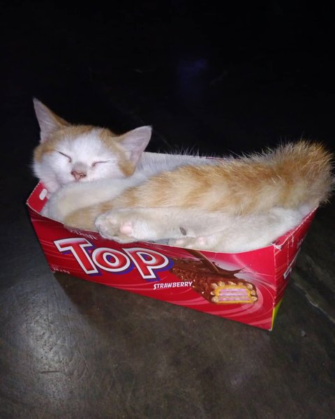 Thumbnail of p-bokeugva7g-1daf3c032f834bd7 5