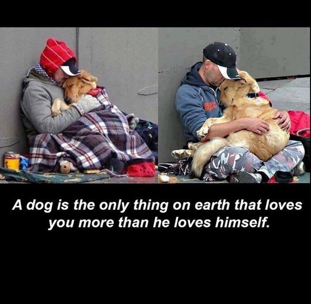 Thumbnail of bmdc28ufp-j-1db8e5fd397448c3 0