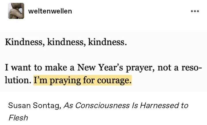 Thumbnail of www-x-com-artemisinfurs-status-1874424138611462517