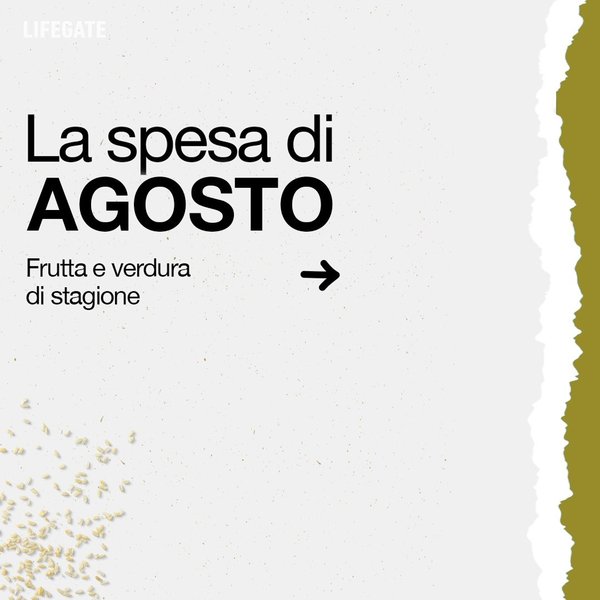 Thumbnail of p-cgyxbfonkxu-1de03d30c10248b2 0