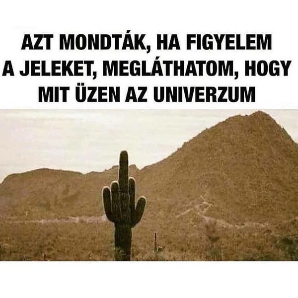 Thumbnail of p-bravhjjdysp-1df54c448ec945d4 0