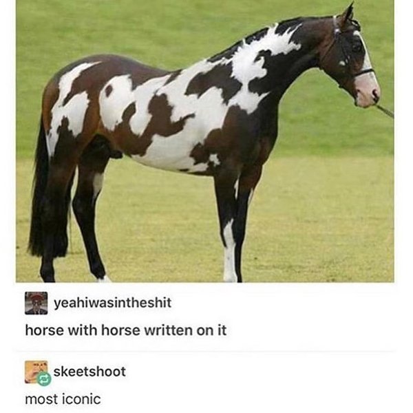 Thumbnail of p-b0bc6wzhjge-1df7e50c156f4262 0