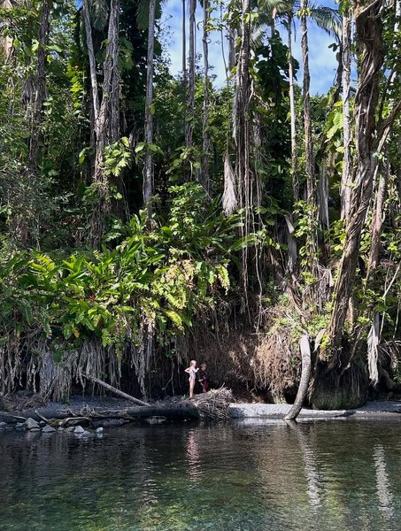 Thumbnail of www-instagram-com-p-dqs1kaccbnp-img-index-1 1