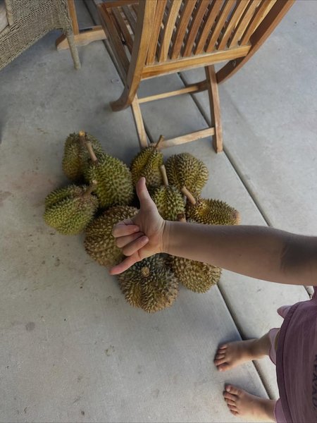 Thumbnail of www-instagram-com-p-dqs1kaccbnp-img-index-1 2