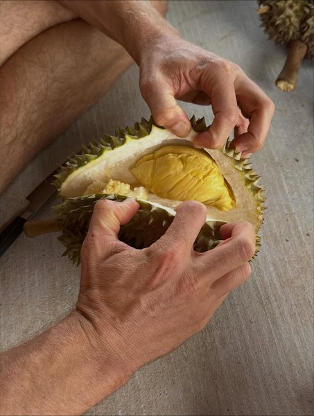 Thumbnail of www-instagram-com-p-dqs1kaccbnp-img-index-1 3