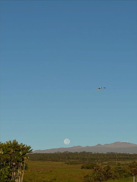 Thumbnail of www-instagram-com-p-dqs1kaccbnp-img-index-1 5