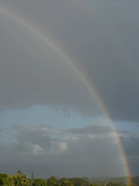 Thumbnail of www-instagram-com-p-dqs1kaccbnp-img-index-1 9