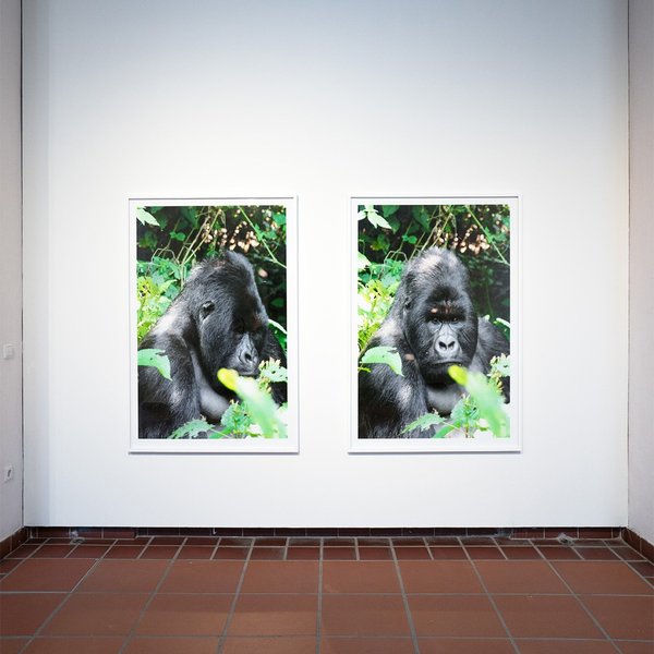 Thumbnail of p-coqjufdlt9m-1e163712d98540ad 7