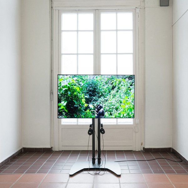 Thumbnail of p-coqjufdlt9m-1e163712d98540ad 8