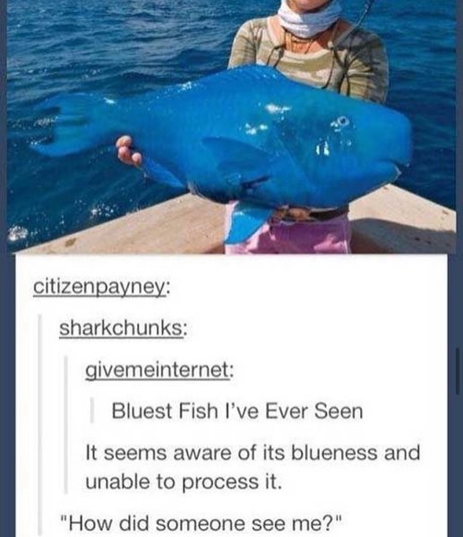 Thumbnail of b-sx4kgfq4p-1e2c7955bd1f4174 0