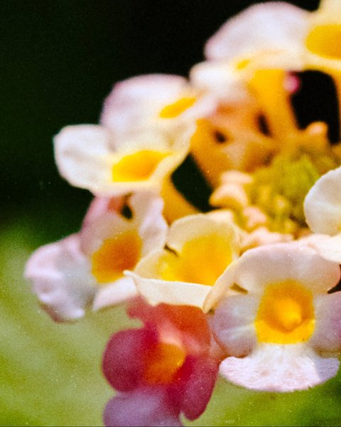 Thumbnail of instagram-1e487a8f981b4fba 3