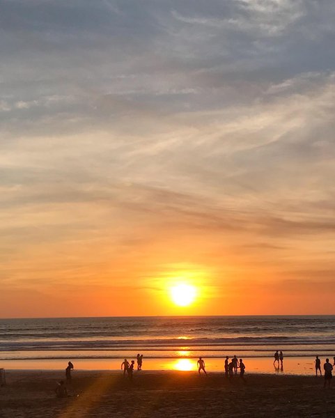 Thumbnail of p-b4pzevnh78c-1e5fd980482a46c4 1