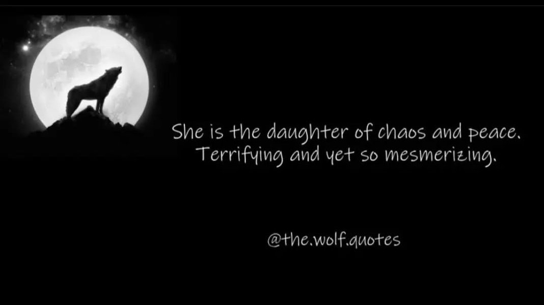 Thumbnail of p-chmytobpca2-1e7df2d0fc6545b1 0