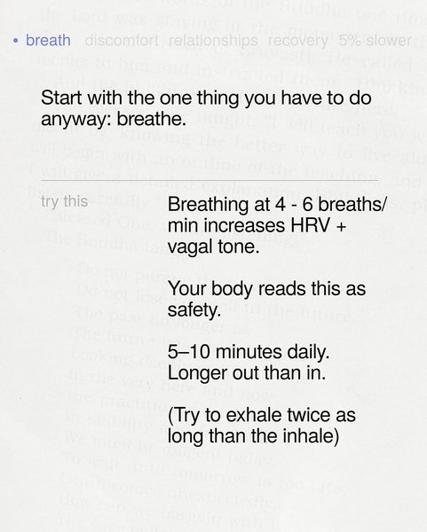 Thumbnail of www-instagram-com-p-dqxstzdjb-z-img-index-3 4