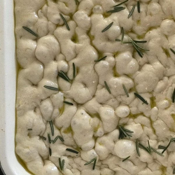 Thumbnail of p-b9b0bjxar2v-1efd66bb0fc244d4 0