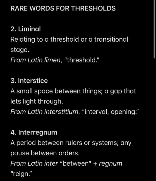 Thumbnail of noam-leon-kaestner-noamleon-1f071c7b53b84c32 0