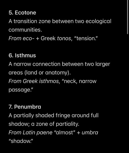 Thumbnail of noam-leon-kaestner-noamleon-1f071c7b53b84c32 1