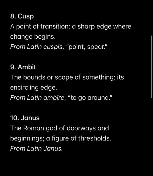 Thumbnail of noam-leon-kaestner-noamleon-1f071c7b53b84c32 2