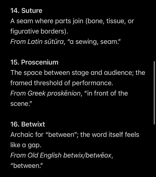 Thumbnail of noam-leon-kaestner-noamleon-1f071c7b53b84c32 4