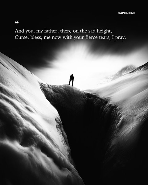 Thumbnail of p-dnszbpr0ika-1f3bc8f379da4fe0 10