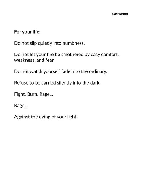 Thumbnail of p-dnszbpr0ika-1f3bc8f379da4fe0 2