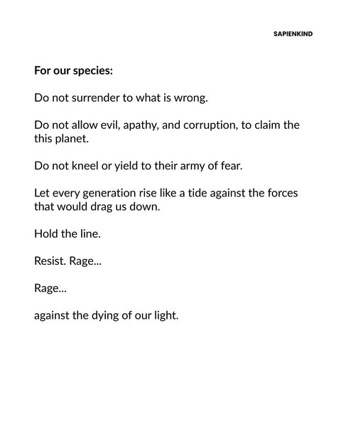 Thumbnail of p-dnszbpr0ika-1f3bc8f379da4fe0 3