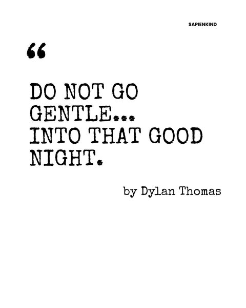 Thumbnail of p-dnszbpr0ika-1f3bc8f379da4fe0 4