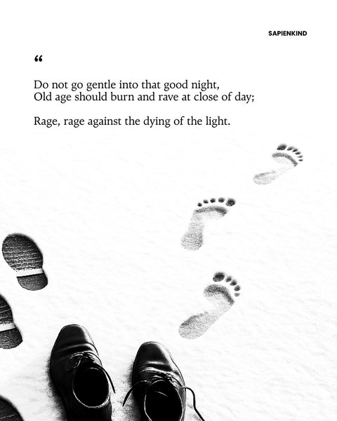 Thumbnail of p-dnszbpr0ika-1f3bc8f379da4fe0 5