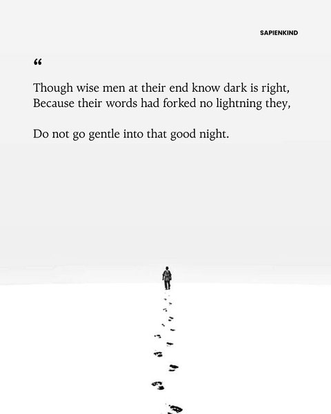 Thumbnail of p-dnszbpr0ika-1f3bc8f379da4fe0 6