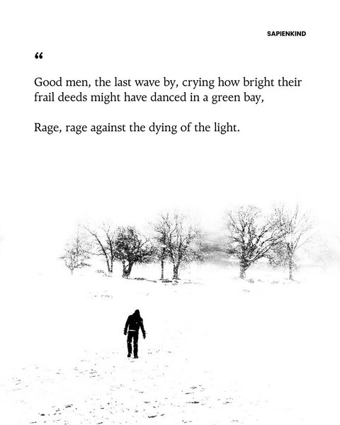 Thumbnail of p-dnszbpr0ika-1f3bc8f379da4fe0 7