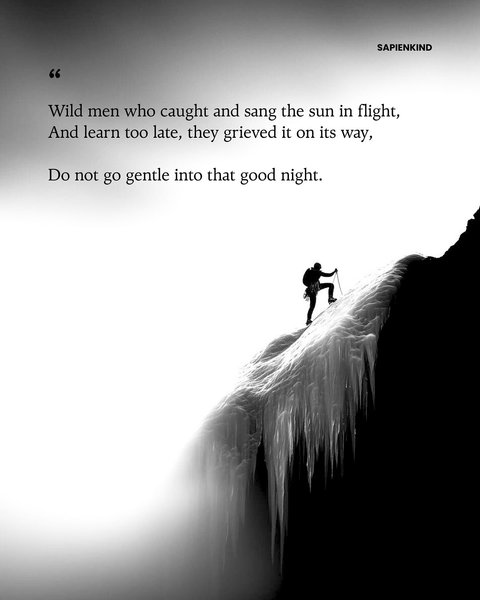 Thumbnail of p-dnszbpr0ika-1f3bc8f379da4fe0 8