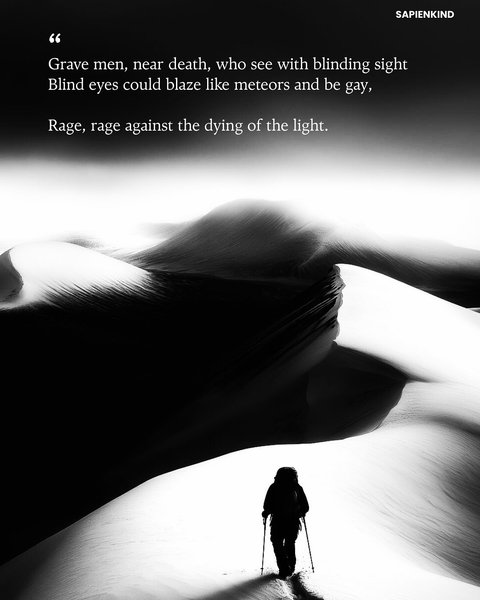 Thumbnail of p-dnszbpr0ika-1f3bc8f379da4fe0 9